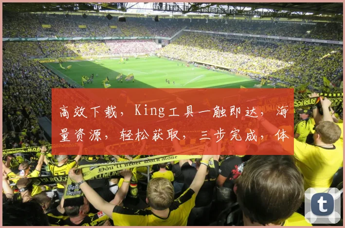 高效下载，King工具一触即达，海量资源，轻松获取，三步完成，体验极致